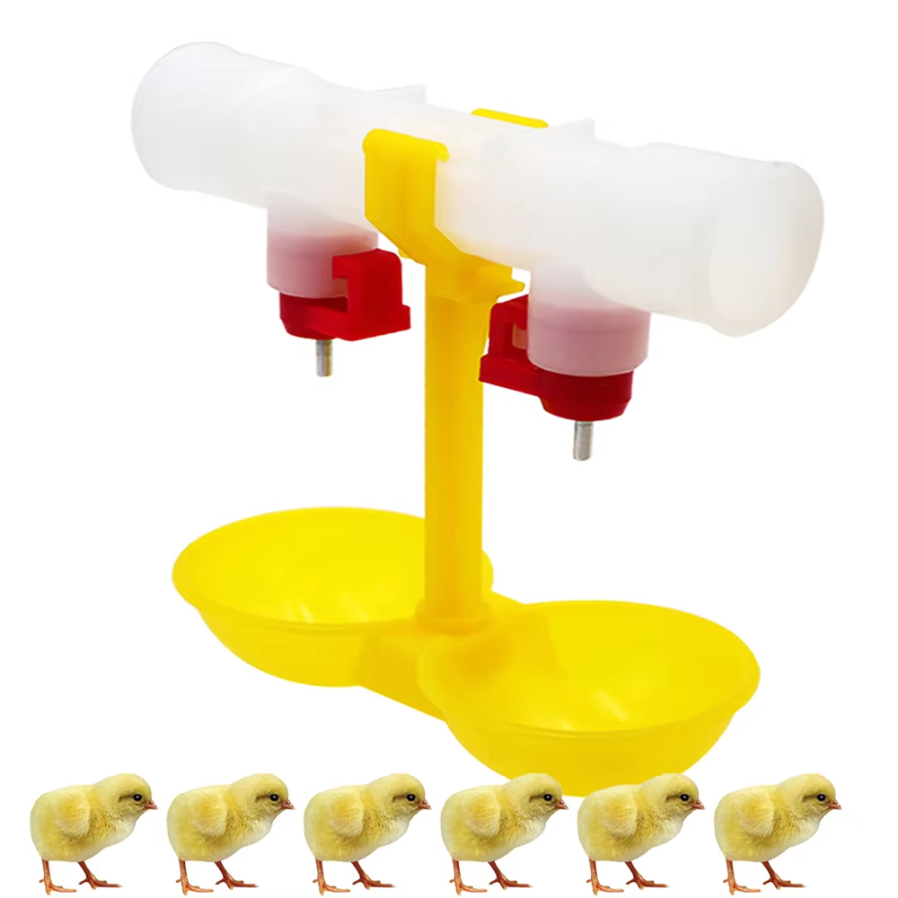 Zwitsal Baby Products - 5/10/20 pçs frango cabeça dupla mamilo